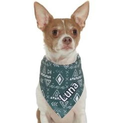 Frisco Boho Geo Personalized Dog & Cat Bandana -Pet Supplies Store 267559 PT7. AC SS1800 V1623164863