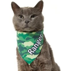 Frisco Green Camo Personalized Dog & Cat Bandana -Pet Supplies Store 267563 PT8. AC SS1800 V1623182074