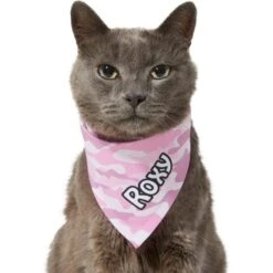 Frisco Pink Camo Personalized Dog & Cat Bandana -Pet Supplies Store 267567 PT8. AC SS1800 V1623164559