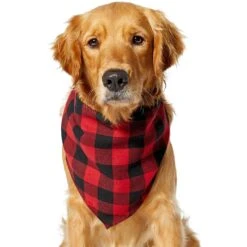 Red Buffalo Plaid Dog & Cat Bandana -Pet Supplies Store 267899 PT2. AC SS1800 V1637649415