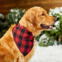Red Buffalo Plaid Dog & Cat Bandana -Pet Supplies Store 267899 PT5. AC SS1800 V1637666506