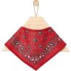 Frisco Red Paisley Dog & Cat Bandana 1 Frisco Red Paisley Dog & Cat Bandana -Pet Supplies Store 267919 MAIN. AC SS1800 V1637722056