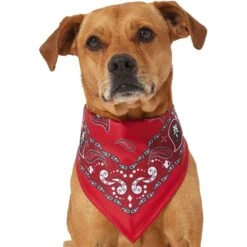 Frisco Red Paisley Dog & Cat Bandana 12 Frisco Red Paisley Dog & Cat Bandana -Pet Supplies Store 267919 PT2. AC SS1800 V1637669854
