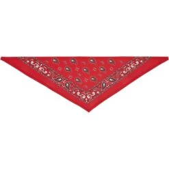 Frisco Red Paisley Dog & Cat Bandana 14 Frisco Red Paisley Dog & Cat Bandana -Pet Supplies Store 267919 PT4. AC SS1800 V1637674037