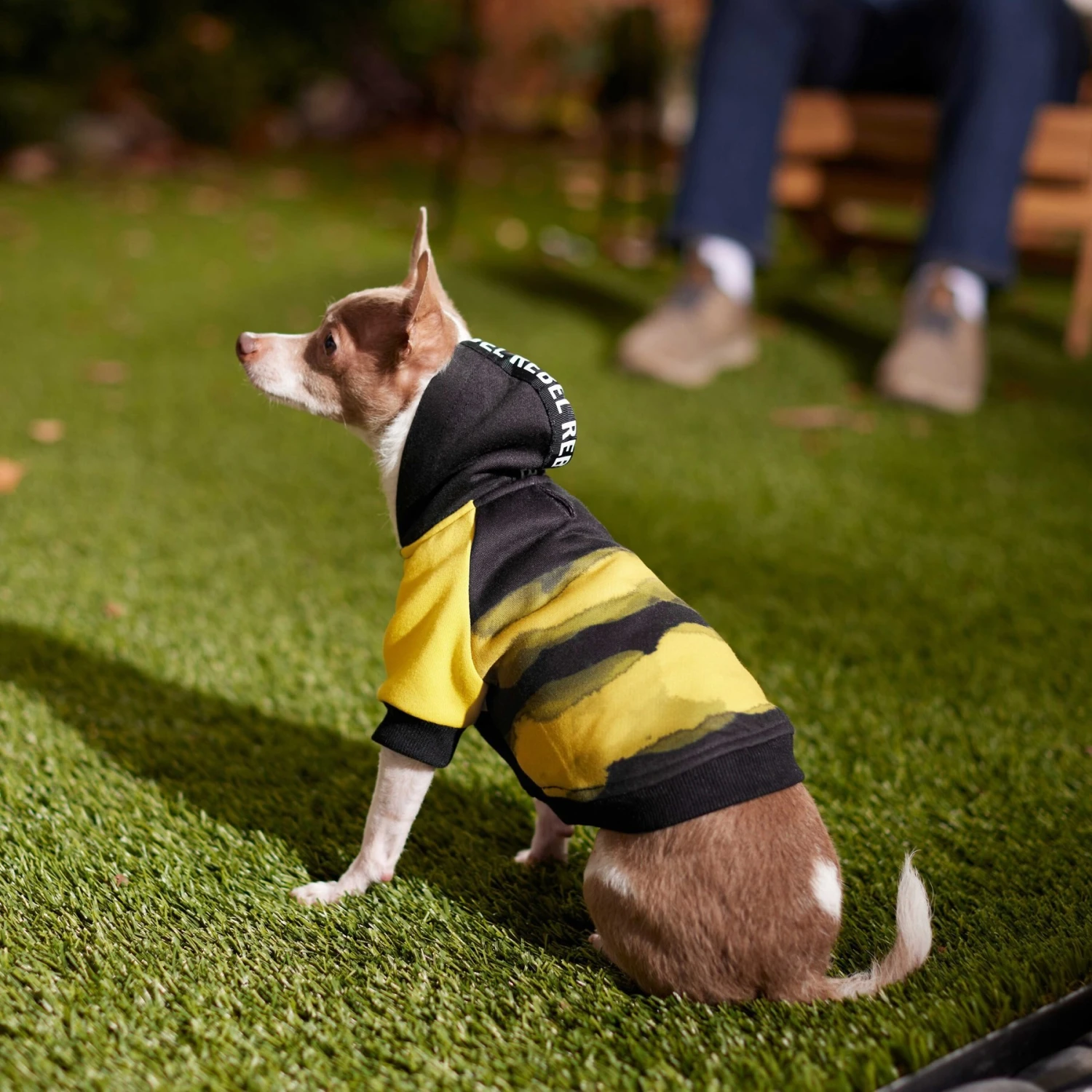 Frisco Rebel Dog & Cat Hoodie 9 Frisco Rebel Dog & Cat Hoodie - Image 7