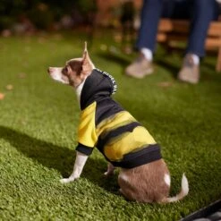 Frisco Rebel Dog & Cat Hoodie 17 Frisco Rebel Dog & Cat Hoodie -Pet Supplies Store 267994 PT8. AC SS1800 V1629758309