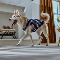 Frisco Lightweight Southwest Dog & Cat Polar Fleece Vest -Pet Supplies Store 268167 PT8. AC SS1800 V1629756292