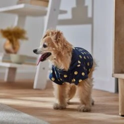 Frisco Lightweight Gold Dotted Dog & Cat Jacket, Navy -Pet Supplies Store 268247 PT8. AC SS1800 V1629758988
