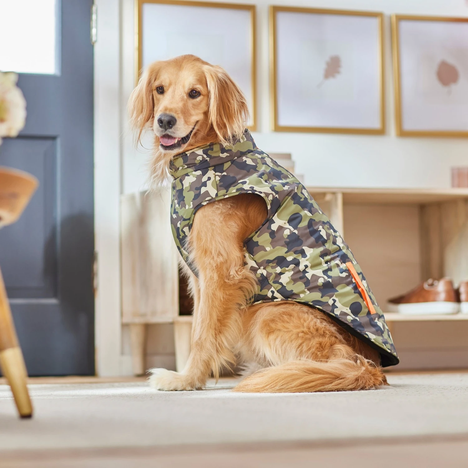 Frisco Mediumweight Camo Print Insulated Dog & Cat Zippered Coat, Green 8 Frisco Mediumweight Camo Print Insulated Dog & Cat Zippered Coat, Green - Image 6