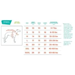 Pet Supplies Store -Pet Supplies Store 268359 PT1. AC SS1800 V1628638893