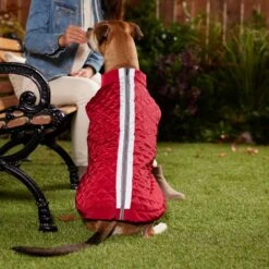 Frisco Mediumweight Reflective 2-in-1 Dog & Cat Fleece Coat 13 Frisco Mediumweight Reflective 2-in-1 Dog & Cat Fleece Coat -Pet Supplies Store 268359 PT8. AC SS1800 V1629759326