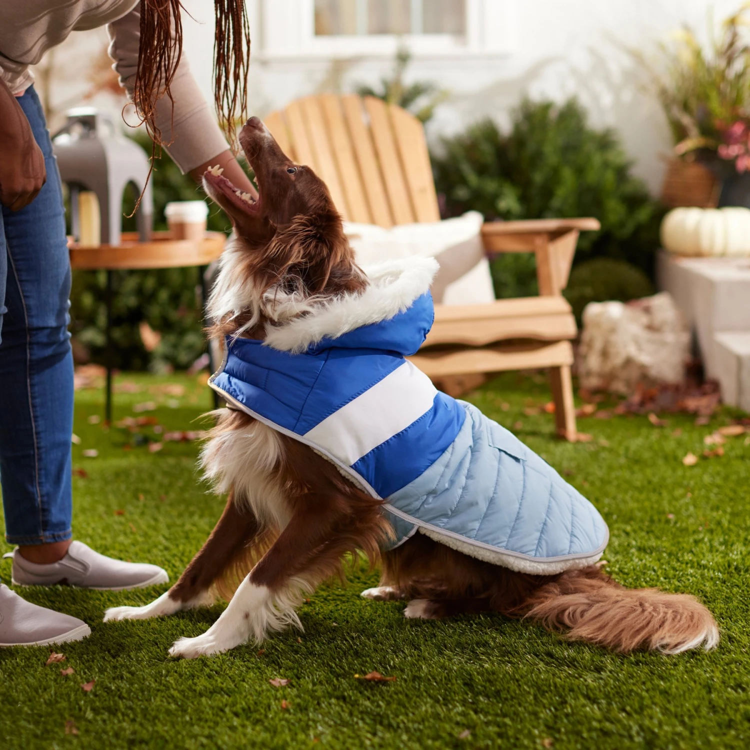 Frisco Heavyweight Chevron Insulated Dog & Cat Parka With Pocket 9 Frisco Heavyweight Chevron Insulated Dog & Cat Parka With Pocket - Image 7