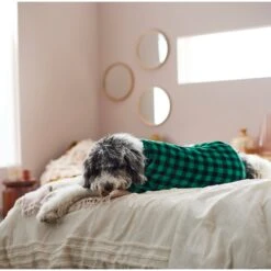 Frisco Dog & Cat Cozy Plush Fleece PJs, Green Plaid 15 Frisco Dog & Cat Cozy Plush Fleece PJs, Green Plaid -Pet Supplies Store 268517 PT8. AC SS1800 V1629755447