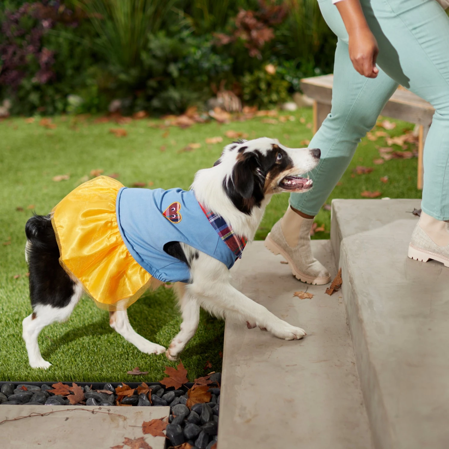 Frisco Chambray Plaid Dog & Cat Dress 10 Frisco Chambray Plaid Dog & Cat Dress - Image 8