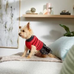 Frisco Chenille Knit Striped Dog & Cat Dress 14 Frisco Chenille Knit Striped Dog & Cat Dress -Pet Supplies Store 268668 PT5. AC SS1800 V1637675198