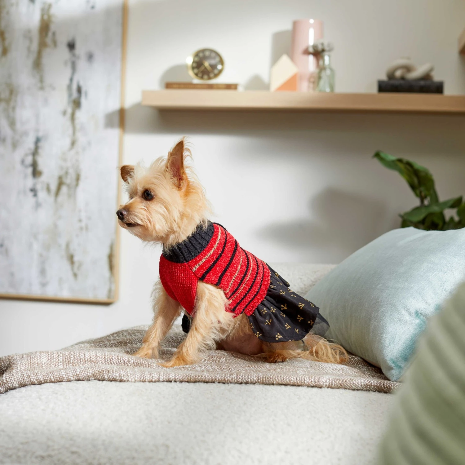 Frisco Chenille Knit Striped Dog & Cat Dress 8 Frisco Chenille Knit Striped Dog & Cat Dress - Image 6