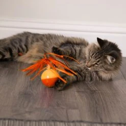 SmartyKat Twirly Tops Replacement Wand Cat Toy, Yellow, 2 Count -Pet Supplies Store 269237 PT5. AC SS1800 V1639007842