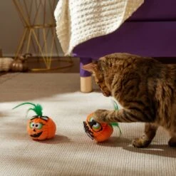 Frisco Halloween Nerdy Jack-o-Lanterns Plush Cat Toy With Catnip, 2 Count 8 Frisco Halloween Nerdy Jack-o-Lanterns Plush Cat Toy With Catnip, 2 Count -Pet Supplies Store 270313 PT3. AC SS1800 V1624824951