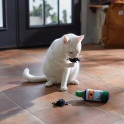 Frisco Camping Bug Spray Plush Cat Toy With Catnip, 3 Count 7 Frisco Camping Bug Spray Plush Cat Toy With Catnip, 3 Count -Pet Supplies Store 270969 PT3. AC SS1800 V1625009346