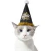 Frisco Happy New Year Dog & Cat Hat 2 Frisco Happy New Year Dog & Cat Hat -Pet Supplies Store 276190 MAIN. AC SS1800 V1631302647