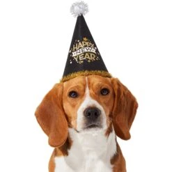 Frisco Happy New Year Dog & Cat Hat -Pet Supplies Store 276190 PT2. AC SS1800 V1631303599