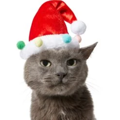 Frisco Holiday Poms Dog & Cat Santa Hat 10 Frisco Holiday Poms Dog & Cat Santa Hat -Pet Supplies Store 276194 PT3. AC SS1800 V1631303179