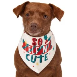Frisco So Elf'n Cute Dog & Cat Bandana -Pet Supplies Store 276276 PT2. AC SS1800 V1637682999