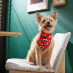 Frisco Santa's Favorite & Cheers To The New Year Dog & Cat Reversible Bandana -Pet Supplies Store 276285 PT6. AC SS1800 V1637668015