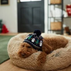 Frisco Jolly Snowman Dog & Cat Knitted Hat -Pet Supplies Store 276303 PT8. AC SS1800 V1631300384