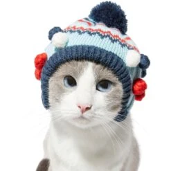 Frisco Pom Pom Dog & Cat Knitted Hat -Pet Supplies Store 276307 PT3. AC SS1800 V1631303197