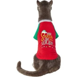 Frisco Santa I Can Explain Dog & Cat T-shirt -Pet Supplies Store 276496 PT2. AC SS1800 V1637682452