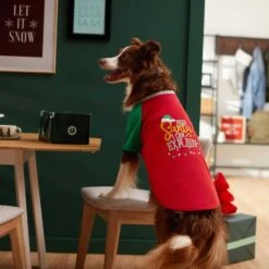 Frisco Santa I Can Explain Dog & Cat T-shirt -Pet Supplies Store 276496 PT5. AC SS1800 V1637677020