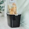 Frisco Top Entry Cat Litter Box, Extra Large 2 Frisco Top Entry Cat Litter Box, Extra Large -Pet Supplies Store 278183 MAIN. AC SS1800 V1675279642