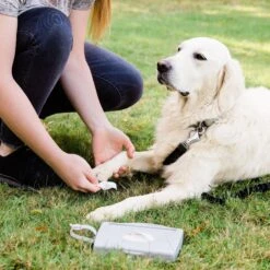 Ubbi® Ubbi On-The-Go Dog & Cat Wipes Dispenser 10 Ubbi® Ubbi On-The-Go Dog & Cat Wipes Dispenser -Pet Supplies Store 279128 PT3. AC SS1800 V1615509403