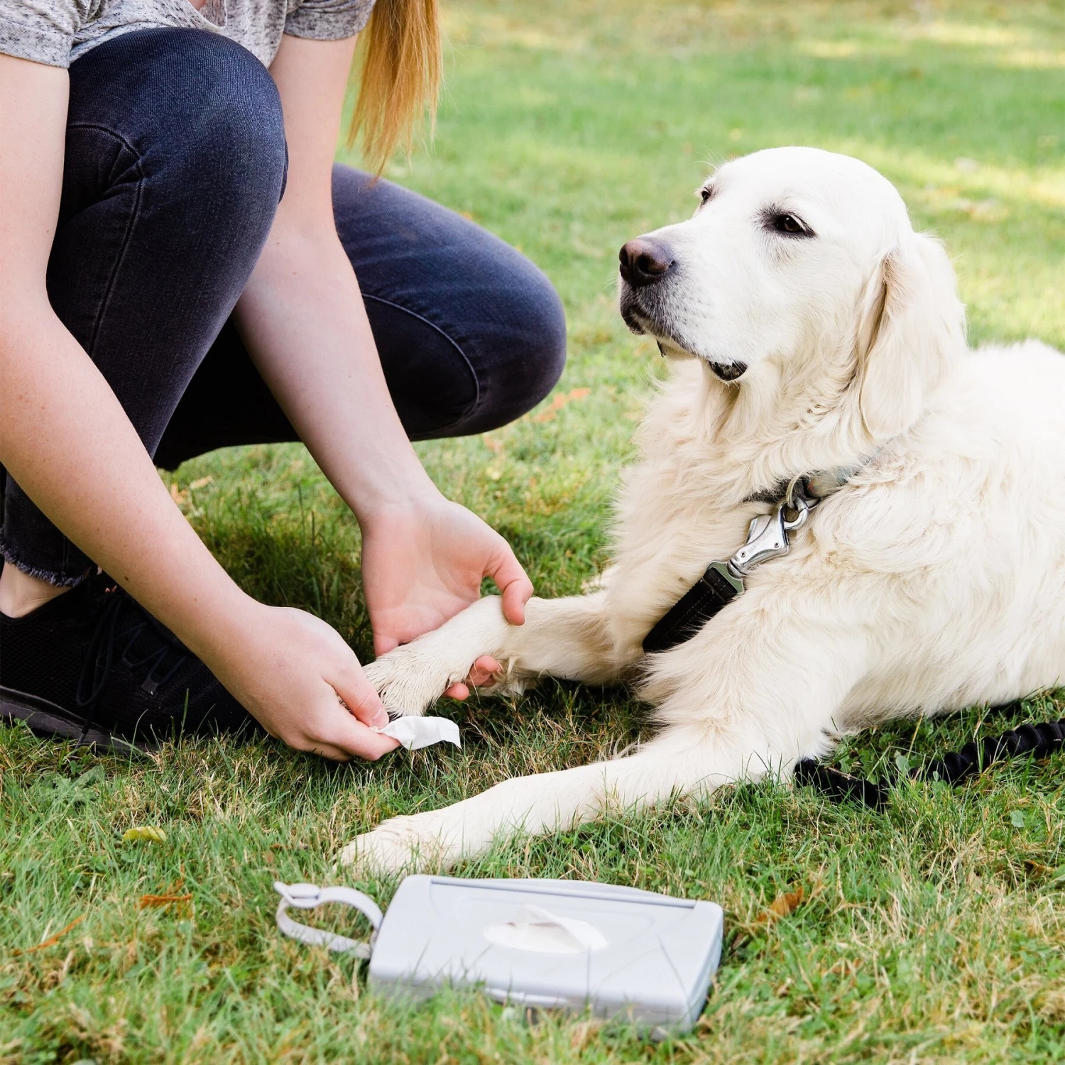 Ubbi® Ubbi On-The-Go Dog & Cat Wipes Dispenser 6 Ubbi® Ubbi On-The-Go Dog & Cat Wipes Dispenser - Image 4