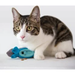 Doc & Phoebe's Cat Co. The Hunting Snacker Interactive Cat Treat Toy, Blue -Pet Supplies Store 279341 PT3. AC SS1800 V1617402789
