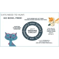 Doc & Phoebe's Cat Co. The Hunting Snacker Interactive Cat Treat Toy, Blue -Pet Supplies Store 279341 PT5. AC SS1800 V1617400689