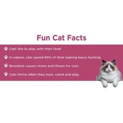 Doc & Phoebe's Cat Co. The Hunting Snacker Interactive Cat Treat Toy, Blue -Pet Supplies Store 279341 PT8. AC SS1800 V1617399710