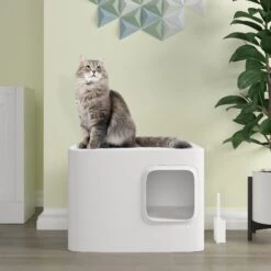 Meowy Studio Loo Enclosed Cat Litter Box Concealment 13 Meowy Studio Loo Enclosed Cat Litter Box Concealment -Pet Supplies Store 280430 PT2. AC SS1800 V1623358054