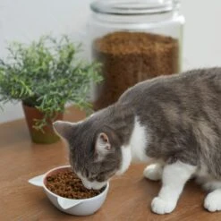 Disney Aristocats Marie Non-skid Ceramic Cat Bowl -Pet Supplies Store 280578 PT3. AC SS1800 V1629986677