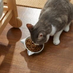 Disney Figaro No-Skid Ceramic Cat Bowl -Pet Supplies Store 280580 PT3. AC SS1800 V1629986631