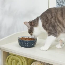 STAR WARS Navy Constellations No-Skid Ceramic Cat Bowl 9 STAR WARS Navy Constellations No-Skid Ceramic Cat Bowl -Pet Supplies Store 280656 PT3. AC SS1800 V1629986532