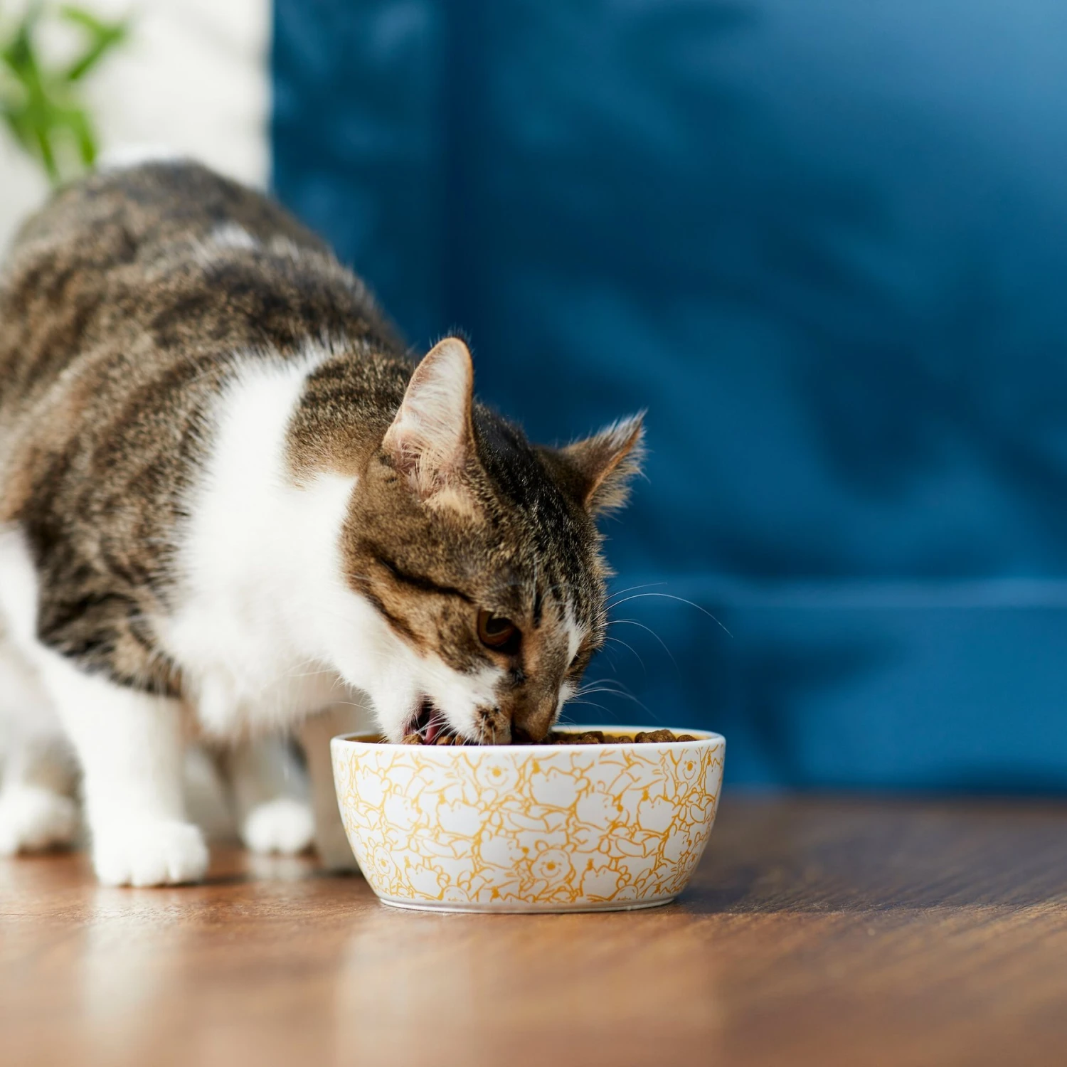 Disney Winnie The Pooh No-Skid Ceramic Cat Bowl 5 Disney Winnie The Pooh No-Skid Ceramic Cat Bowl - Image 3