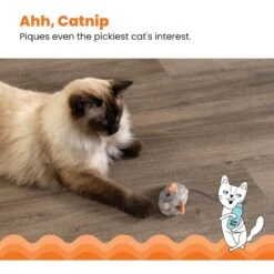 Catstages Squeak Squeak Mouse Cat Toy -Pet Supplies Store 282263 PT3. AC SS1800 V1636512259