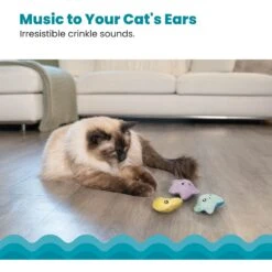 Catstages Toss 'N Twinkle Plush Cat Toy With Catnip, 3 Count -Pet Supplies Store 282271 PT3. AC SS1800 V1636500175