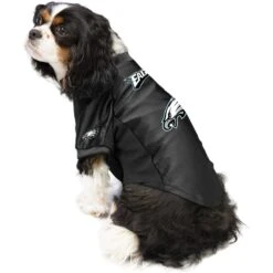 Littlearth NFL Stretch Dog & Cat Jersey, Philadelphia Eagles 11 Littlearth NFL Stretch Dog & Cat Jersey, Philadelphia Eagles -Pet Supplies Store 284281 PT2. AC SS1800 V1619561832