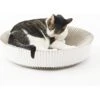 Katris Pre-Assembled Nest Scratcher Lounge Cat Bed 1 Katris Pre-Assembled Nest Scratcher Lounge Cat Bed -Pet Supplies Store 285031 MAIN. AC SS1800 V1632956497