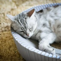 Katris Pre-Assembled Nest Scratcher Lounge Cat Bed 13 Katris Pre-Assembled Nest Scratcher Lounge Cat Bed -Pet Supplies Store 285031 PT3. AC SS1800 V1632953199