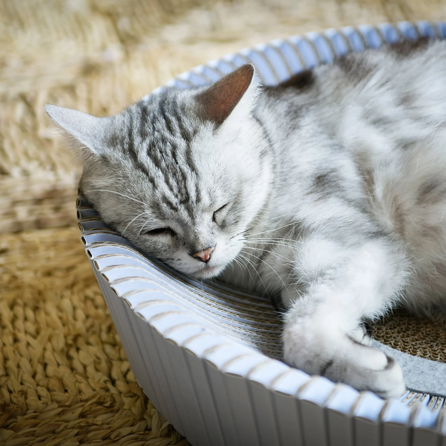 Katris Pre-Assembled Nest Scratcher Lounge Cat Bed 6 Katris Pre-Assembled Nest Scratcher Lounge Cat Bed - Image 4