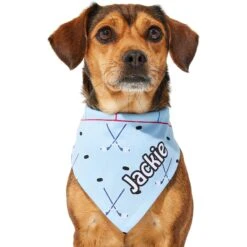 Frisco Ice Hockey Personalized Dog & Cat Bandana 17 Frisco Ice Hockey Personalized Dog & Cat Bandana -Pet Supplies Store 287048 PT6. AC SS1800 V1623246568